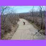 Belle Walking Trail.jpg